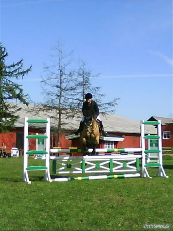 Anden særlig race * Stjerne * - Mig og stjerne i la på dalby vi fik en 4 plads :p billede 11