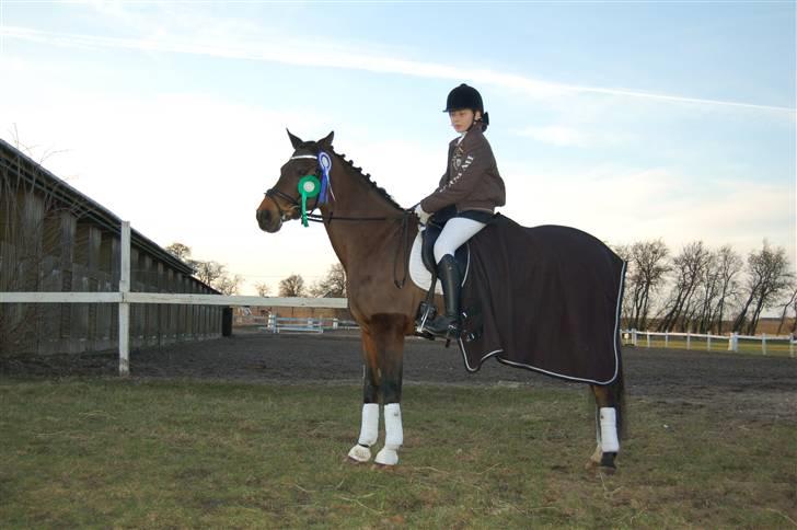 Hollandsk Sportspony Boris - Ringsted rideklub - hvor jeg både blev 2´er og 5´er billede 15