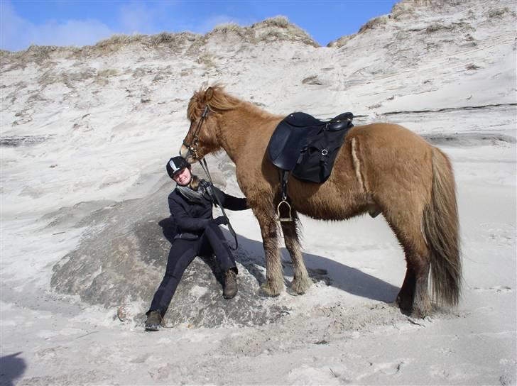 Islænder Sleipnir fra eskildsminde - Sleipnir og jeg venter på de andre billede 10