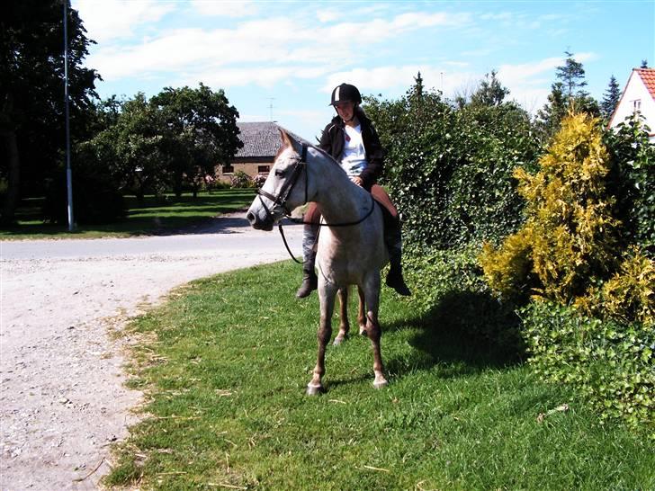 Anden særlig race Shadow R.I.P - Velkommen til Shadow´s profil:)  Smid gerne en bedømmelse og en kommentar:) billede 1