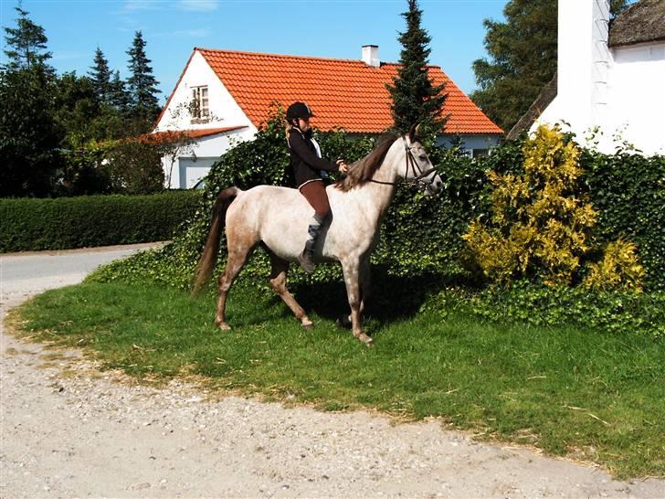 Anden særlig race Shadow R.I.P - Sidste dag<3 billede 2