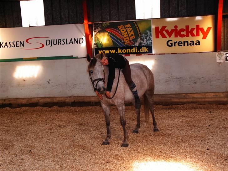 Anden særlig race Shadow R.I.P - Sidste dag billede 4