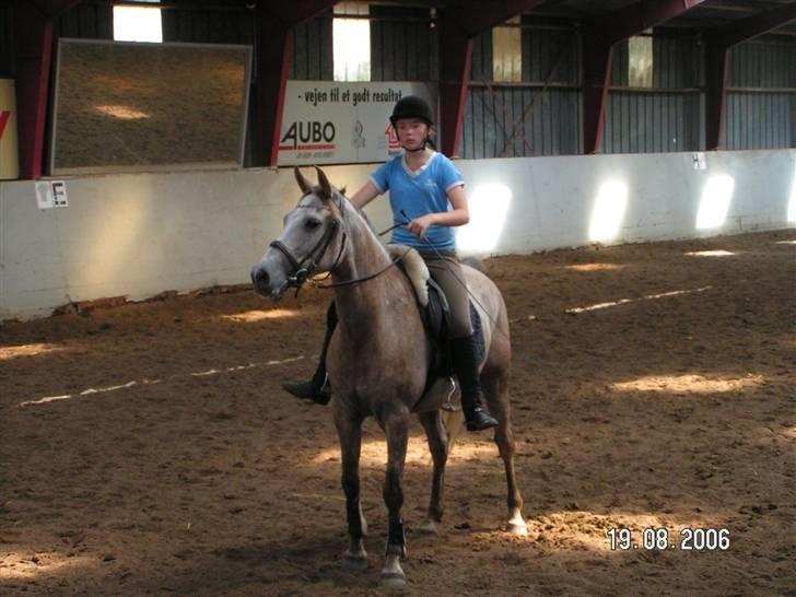 Anden særlig race Shadow R.I.P - Shadow<3 billede 5