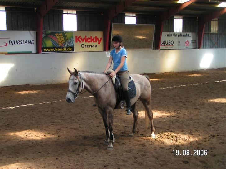 Anden særlig race Shadow R.I.P - Shadow<3 billede 15