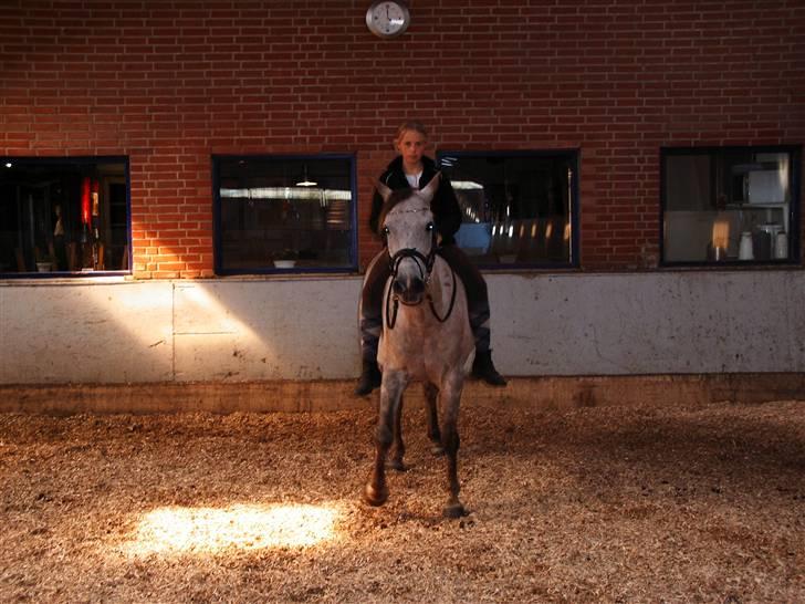 Anden særlig race Shadow R.I.P - Shadow<3 billede 16