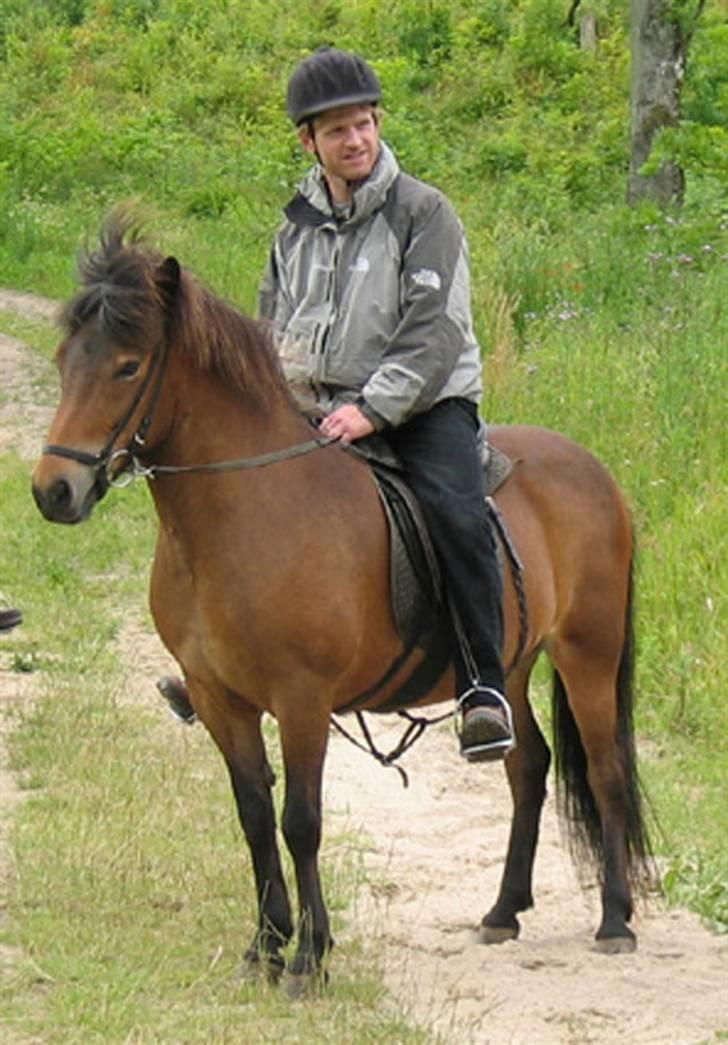 Islænder Stelpa - Gemalen til hest 2004 billede 3