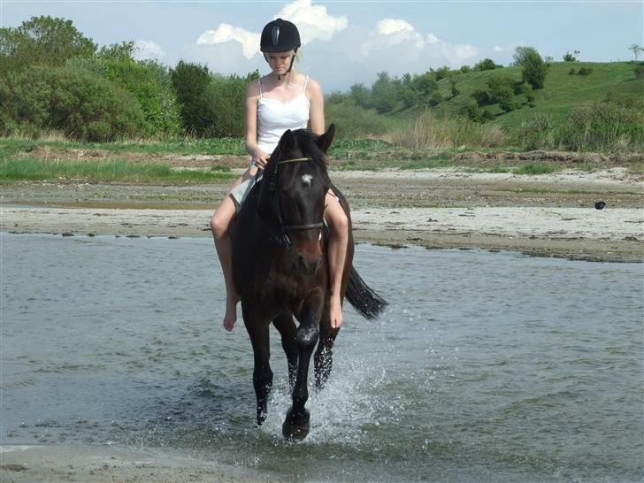Oldenborg Baily  - På stranden. 12/5 08 MF billede 4