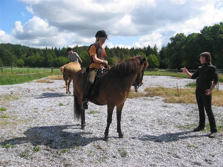 Islænder Stelpa - Undervisning i Sejs ved Silkeborg. "One-Rein-Stop" 2007 billede 4