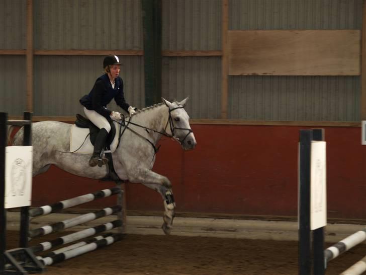 Hannoveraner sunshine(R.I.P) - jeg tror vi drejer skarpt=D billede 9