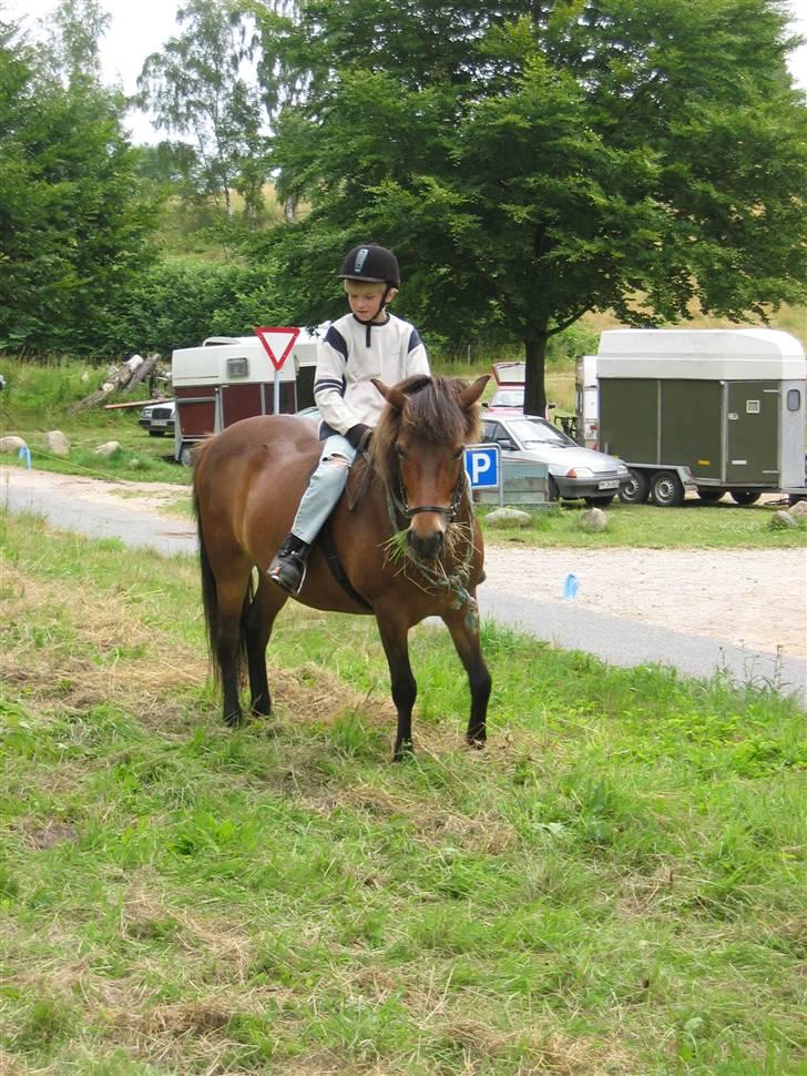 Islænder Stelpa - Ridellejr 2004 billede 12