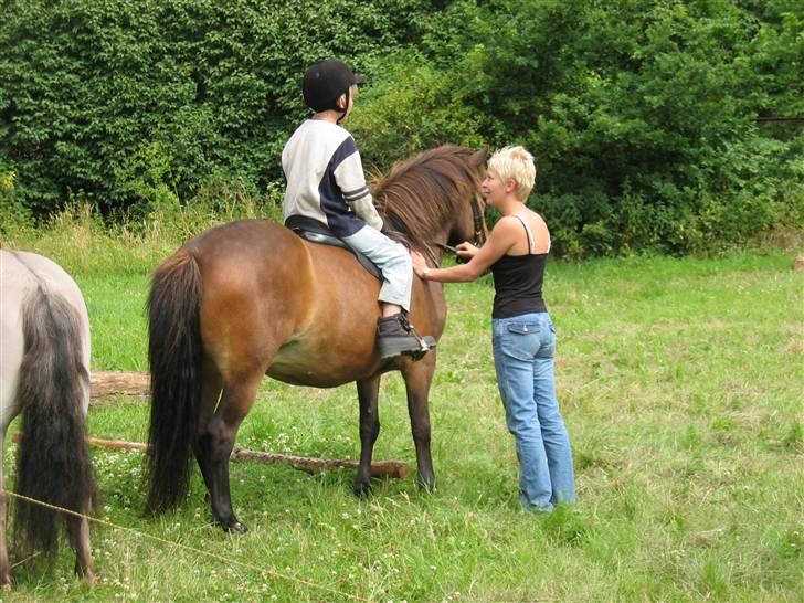 Islænder Stelpa - Ridelejr 2004 billede 13