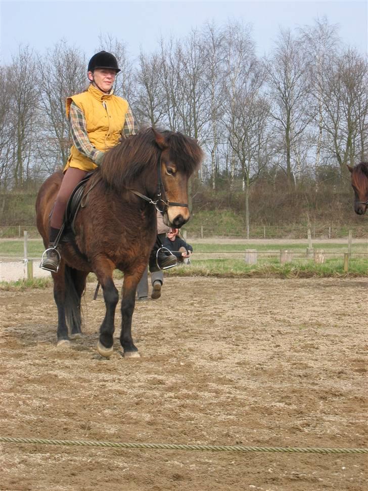 Islænder Stelpa - Undervisning i Davinde. 2005 billede 16