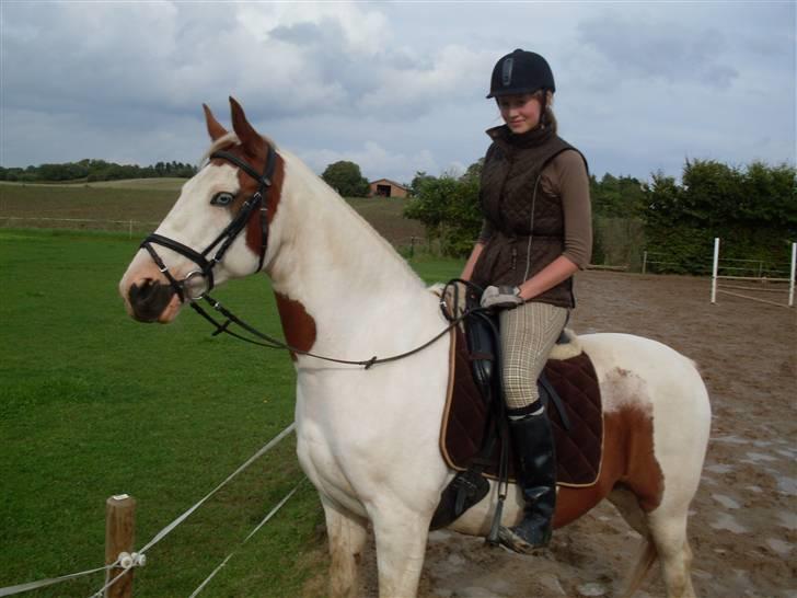 Anden særlig race Camelot <3 *passer* (: billede 5