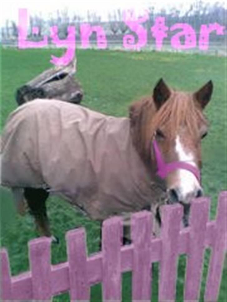 Anden særlig race Lyn Star - R.I.P - den lille lyserøde:) foto: pernille redigering: miig:) billede 9