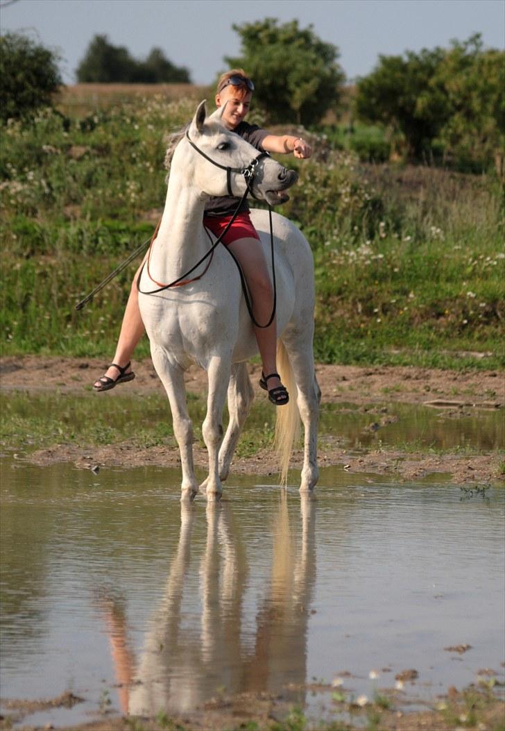 Cruzado Chico - REST IN PEACE MY ANGEL :'( <3 - 6.   „It doesn't matter where or when or what we say or what we do, as long as it's just me and you.“   
Foto: far. d.10/8-2010 billede 5