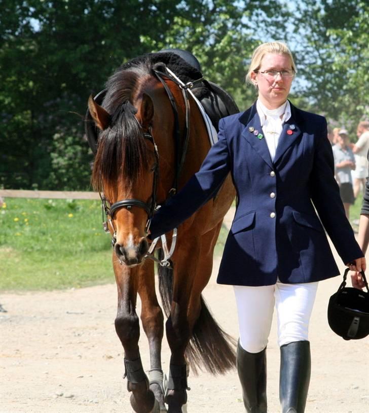 Sportsaraber (A) LAUDER - Hihi, vi har vist begge lige fået øje på fotografen, der sad diskret foran en lastbil. Foto: SLRK billede 15