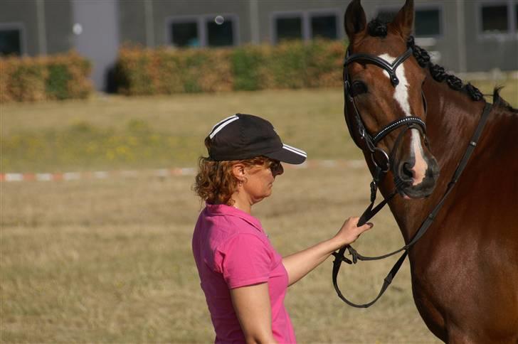 Anden særlig race Magic Don Karnage - Min mor holder Karnage mens jeg sadler op billede 2