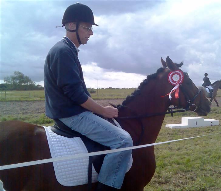 Anden særlig race Magic Don Karnage - Min far skridtede lige Karnage af til stævne. billede 4