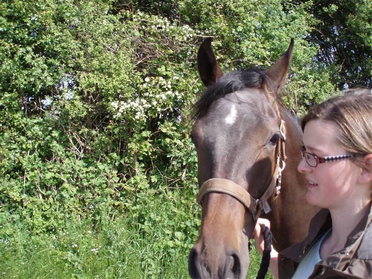Anden særlig race Milton - Smil, der bliver taget billeder. billede 4