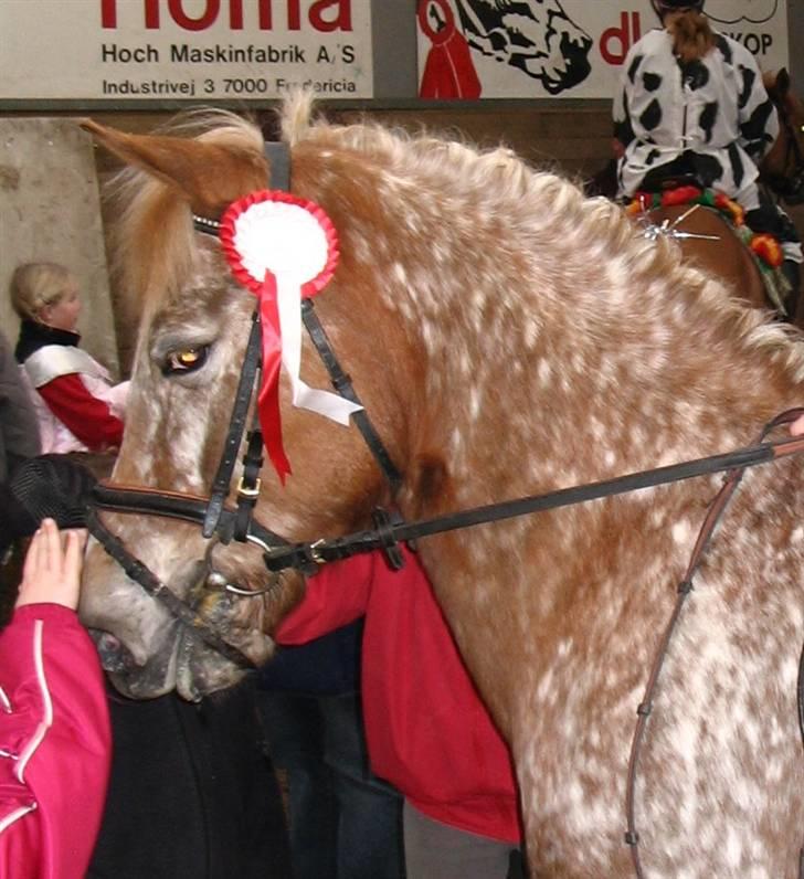 Anden særlig race Jolly Jumper *Gamle part* - Velkommen til jolly Jumper´s profil. håber du gider at give en bedømmelse og måske smide en kommentar (; <3 billede 1