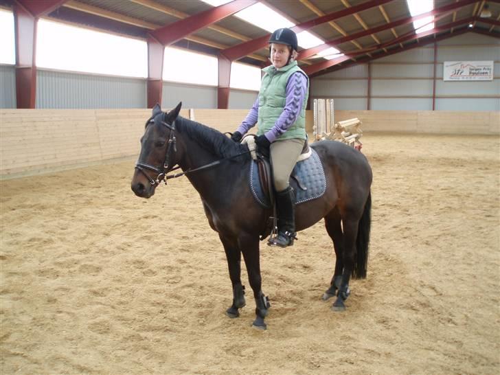 New Forest Flicka billede 9