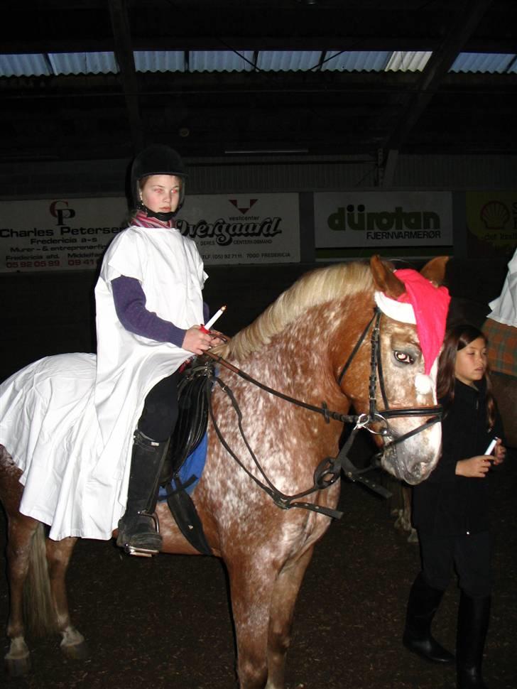 Anden særlig race Jolly Jumper *Gamle part* - Julemandens hjælper billede 6