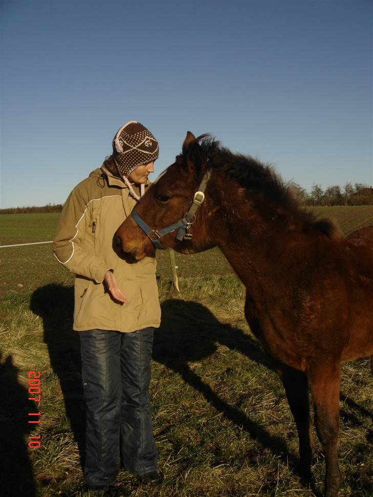 Anden særlig race Foxy Brown billede 19