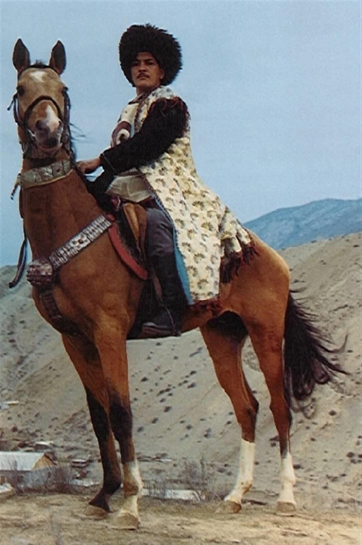 Akhal-Tekiner Meimli (R.I.P.) [Himmelhest] - Meimli i Turkmenistan billede 5