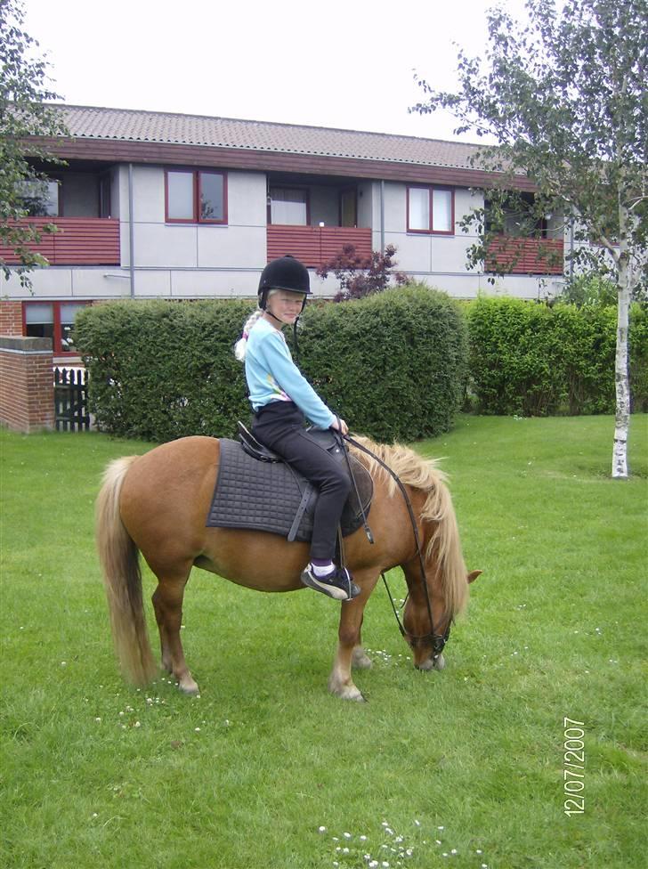 Anden særlig race chili *+min bvs ponze;)+* - wow du skal bare prøve det her... namme nam hvor er grasset godt i dag! billede 1