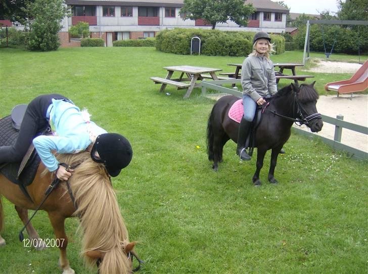 Anden særlig race chili *+min bvs ponze;)+* - uha louise! pas på! lad mig lige hjælp dig op... sådan der ja! billede 3