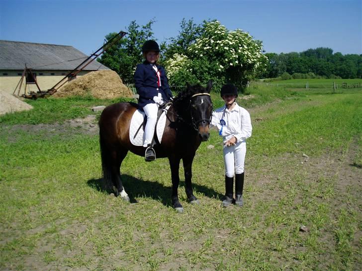 Anden særlig race Mirka Belinda R.I.P billede 7