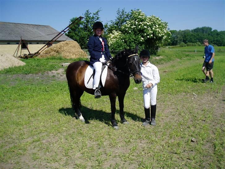 Anden særlig race Mirka Belinda R.I.P billede 8