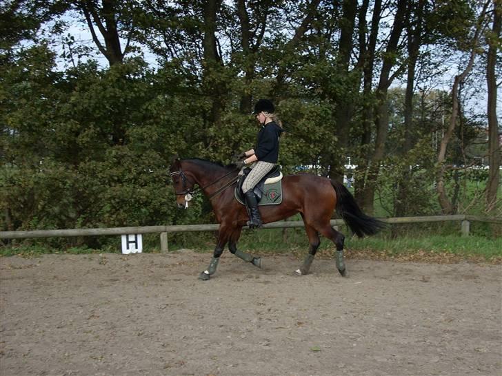 Anden særlig race Sally (solgt) - da jeg fik hende havde hun den største underhals jeg nogen sinde har set, og rente med hovedet i vejeret hele tiden! med det sidste års tid har hun gået sådan her:)<3<3 billede 16