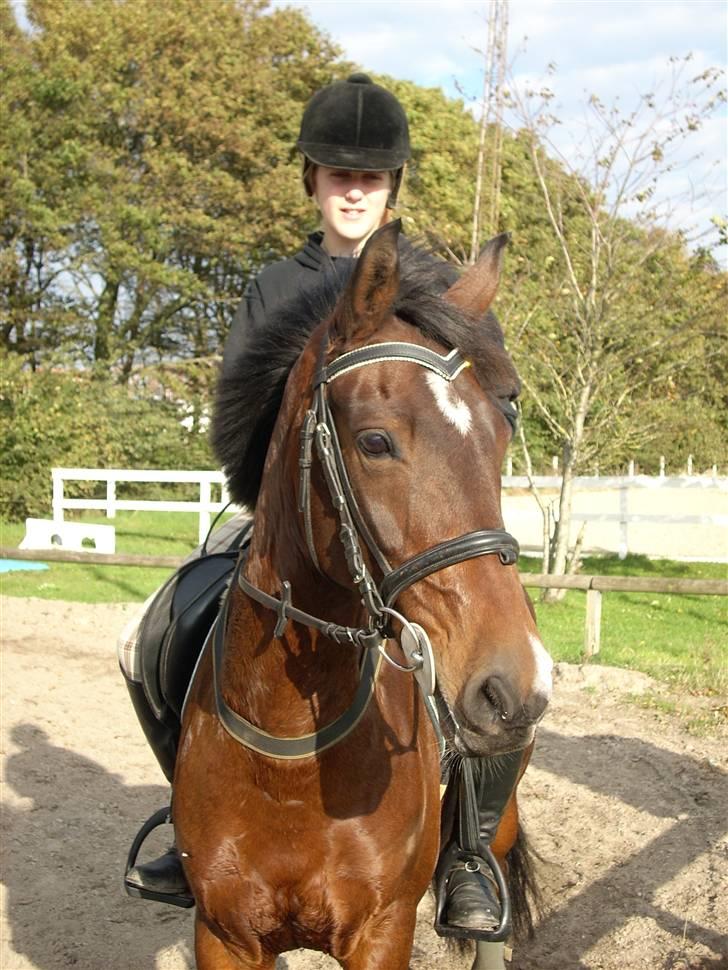 Anden særlig race Sally (solgt) - Vind i håret, rockstar briller på;)<3<3 billede 18