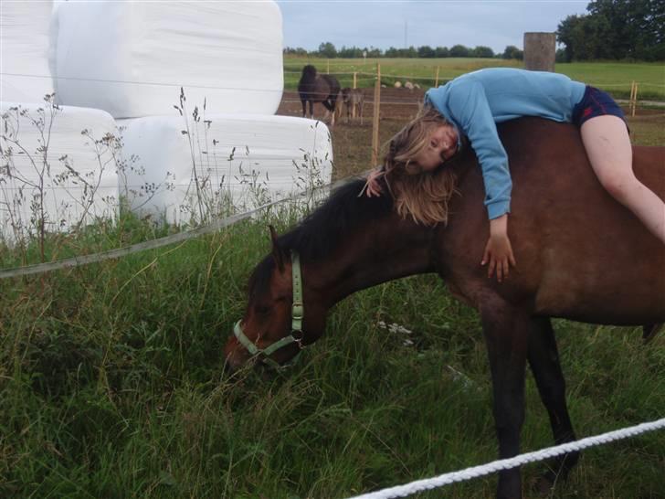 DSP Gaia.[ RIP ] :( - Fuck vi havde det sjovt i silkeborg, så mange gode minder ! <´33 ( På en fold vi selv havde lavet på springkursus hos Frank Kejlberg. ) billede 13