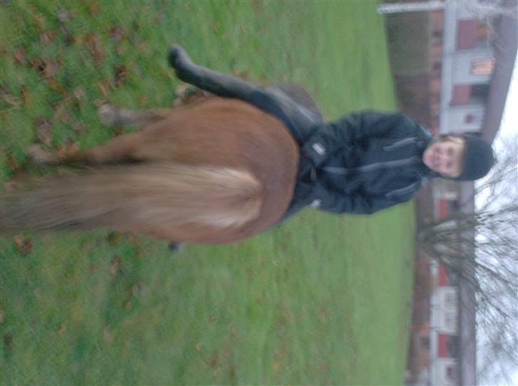 Anden særlig race chili *+min bvs ponze;)+* - hvordan er det dog du sidder louise?! du kan jo falde, men bare rolig. så får jeg dig op XD  billede 6