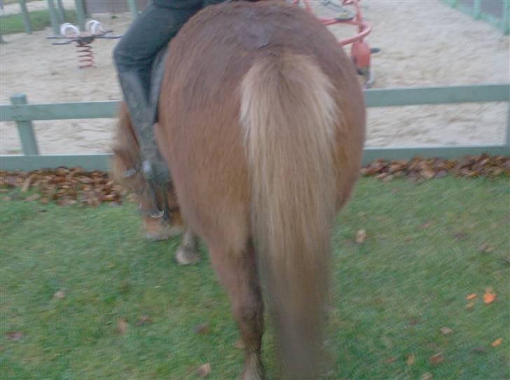 Anden særlig race chili *+min bvs ponze;)+* - når enden er god, er alting godt XD billede 7