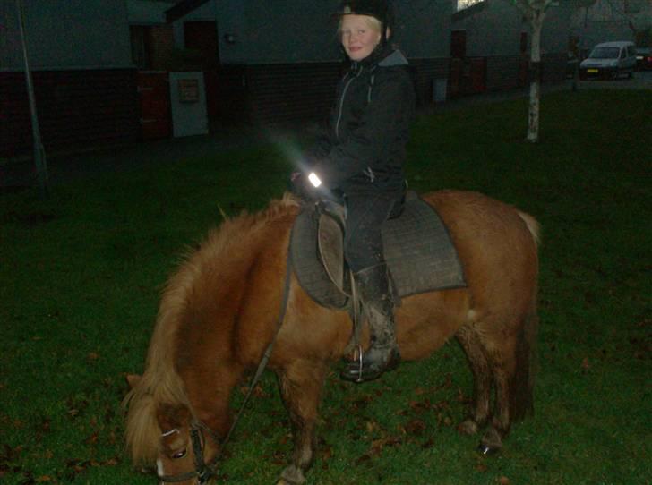 Anden særlig race chili *+min bvs ponze;)+* - her er så mørkt! jeg må gemme mig for jeg er bange! hov! hvorfor kan jeg ikk få mit hovede ned i jorden ligesom de der strusse, i animal planet? XD billede 9