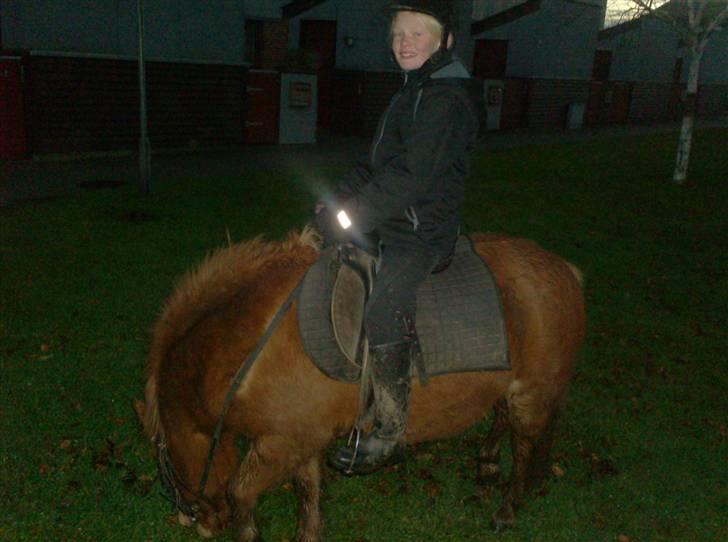 Anden særlig race chili *+min bvs ponze;)+* - jeg har fået hovedepine! :S hehe XD billede 10