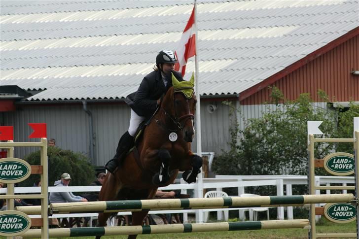 Dansk Varmblod - **Sunny Girl <3 Solgt  - NYT! Vores første LA, til Jysk Rideuge i Silkeborg 2008. Endte med en 13 plads :) billede 4
