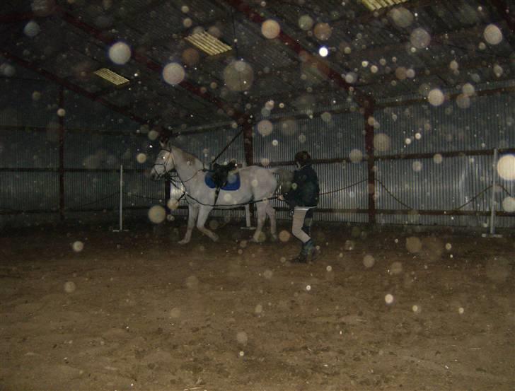 Anden særlig race Hudine #R.I.P# - Ja når man har for meget krudt i bagdelenmå man i lonce. billede 7