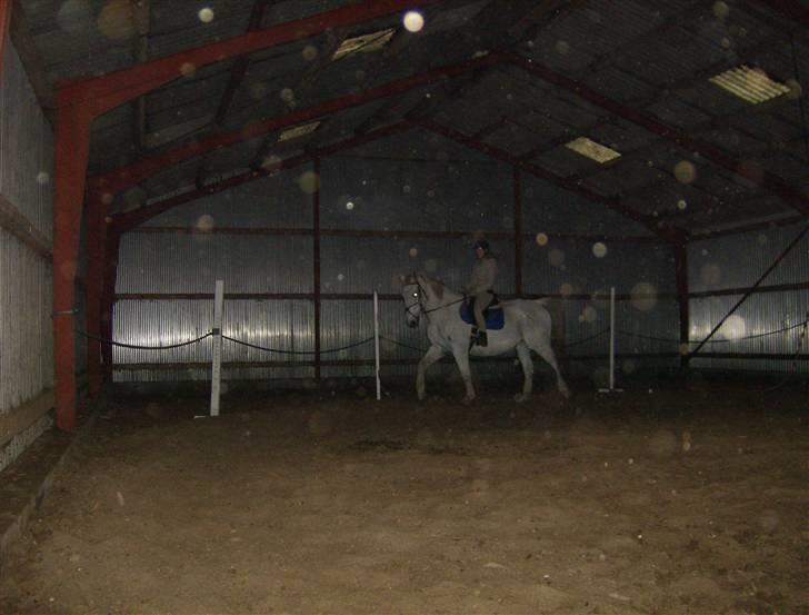 Anden særlig race Hudine #R.I.P# - S´øster ude og prøve Hugo. billede 8