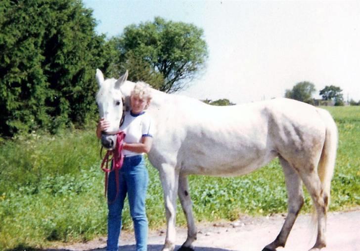 Anden særlig race Musse - Den sidste dag med Musse, i 1983. billede 4