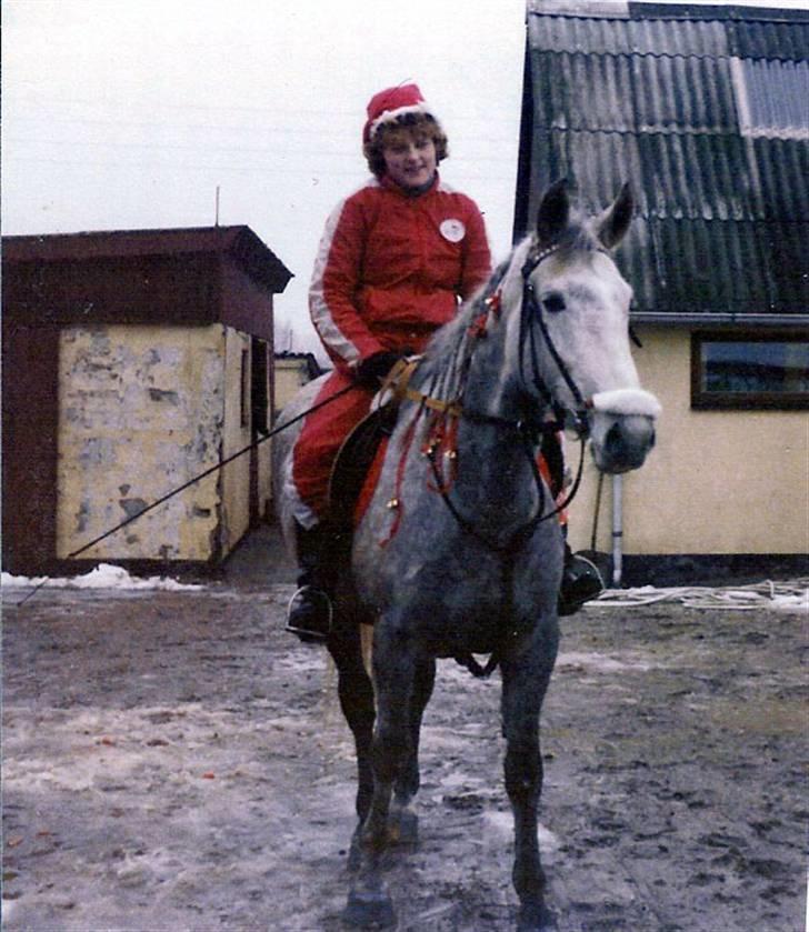 Anden særlig race Musse - Musse og jeg på vej til juleridt billede 12