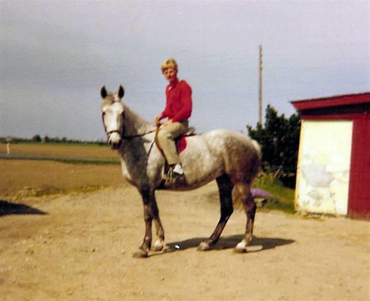 Anden særlig race Musse - Musse og min mand billede 13
