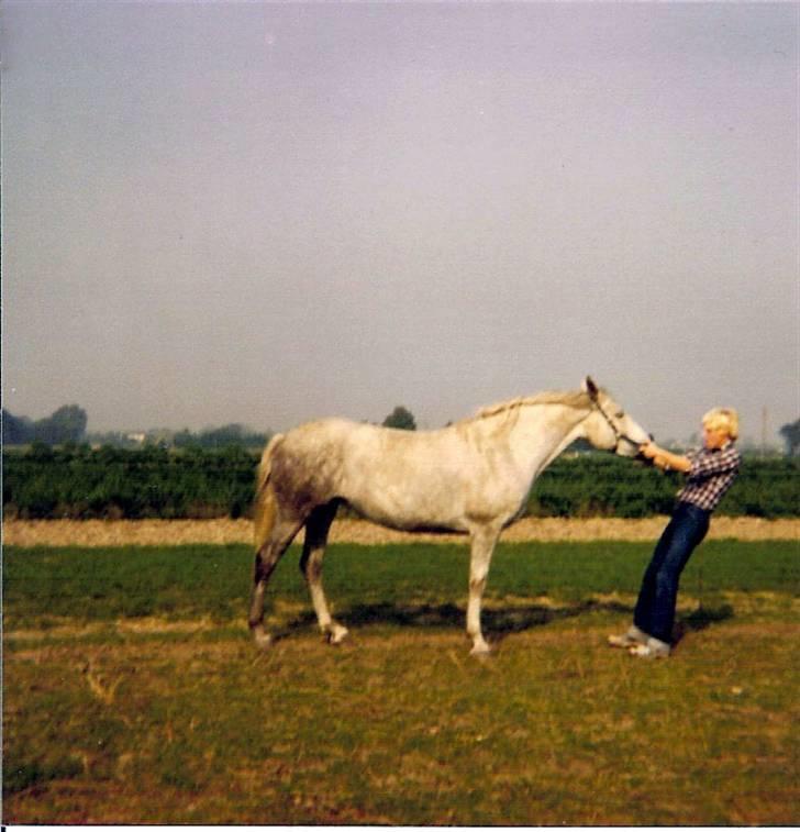 Anden særlig race Musse - Musse og min mand billede 14
