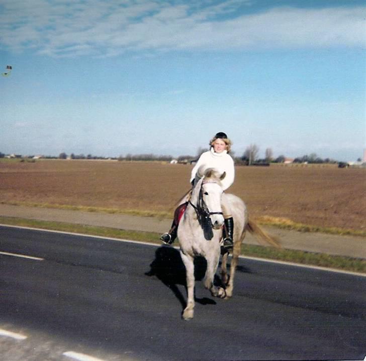 Anden særlig race Musse - Musse og jeg på tur. billede 15
