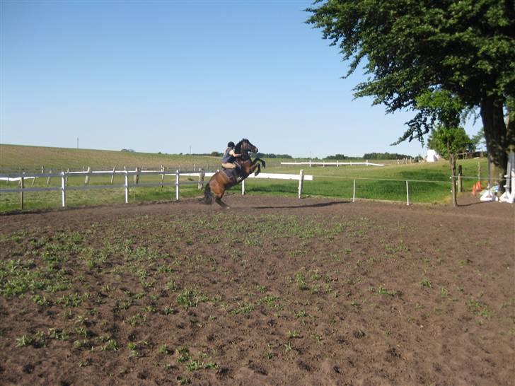 New Forest Roløkke Superman - superman står på bag ben (: *NYYYT* billede 1