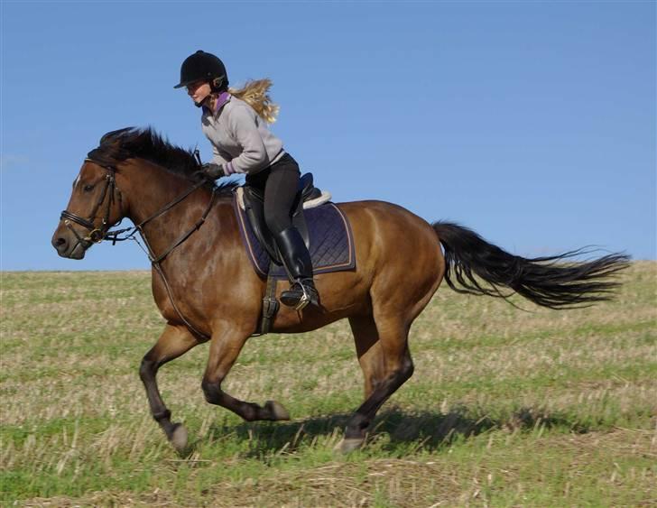 New Forest Roløkke Superman - Sommer 2007.. billede 3