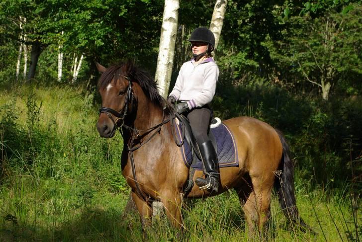 New Forest Roløkke Superman - I skoven..  billede 4